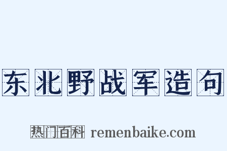 东北野战军造句是什么意思的图片